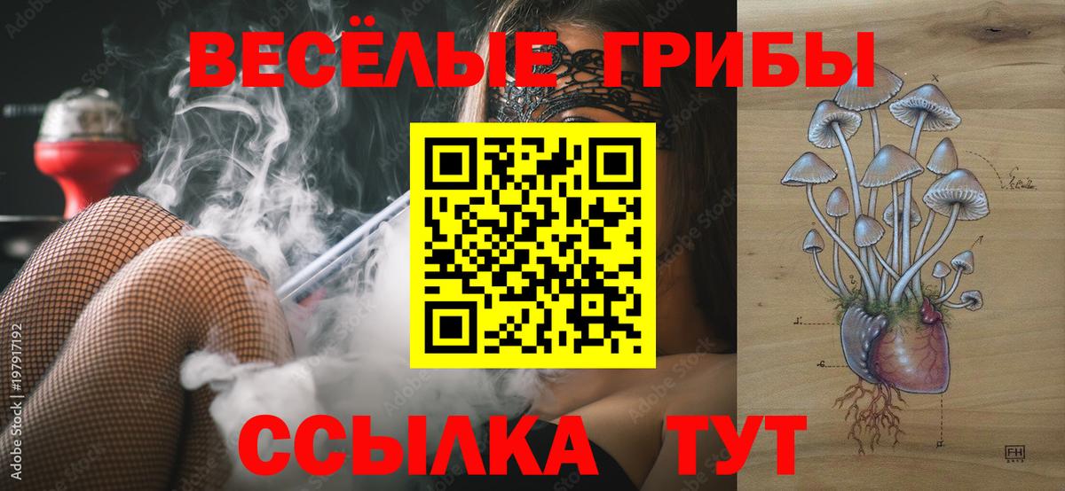 Галлюциногенные грибы прущие грибы  Вход с VPN  Десногорск 