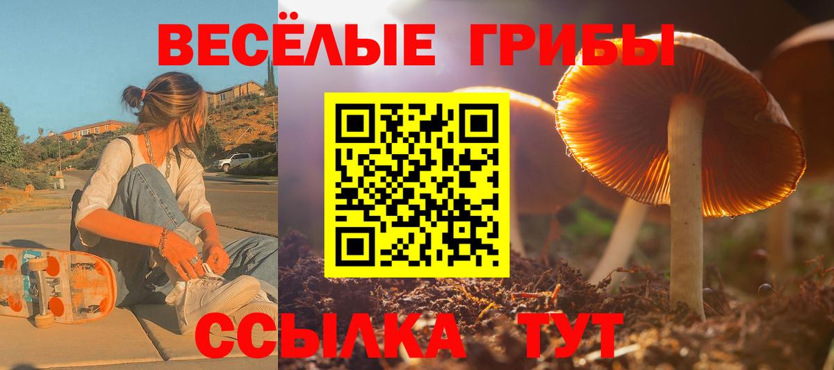 Псилоцибиновые грибы мухоморы Десногорск